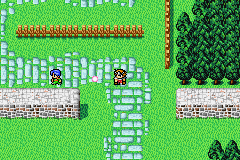 The Light Warriors release the captive faerie in the town of Gaia